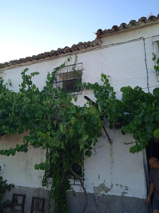 Bogarra La Casa De Maria Bed & Breakfast エクステリア 写真